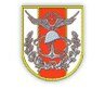 Türk Silahlı Kuvvetleri